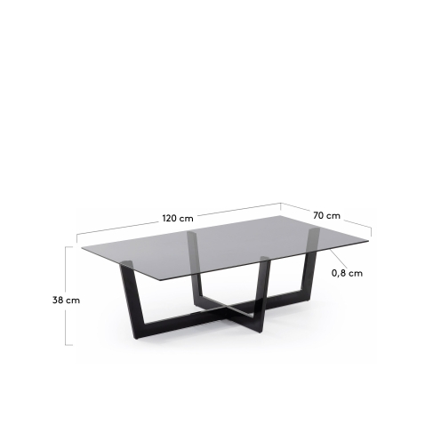 La Forma - Transparent grass Plam coffee table